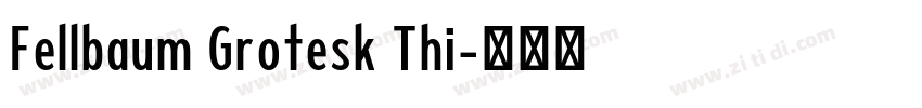 Fellbaum Grotesk Thi字体转换
